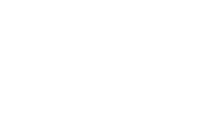 Jacinto Convit World Organization